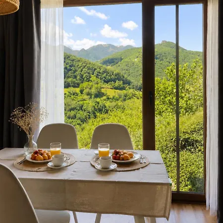 Duplex Con Vistas A Picos De Europa Y Proyector De Cine 120 Pulgadas *